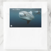 Mola Mola Rechteckiger Aufkleber (Tasche)