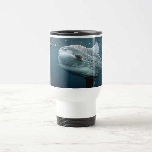 Mola Mola Reisebecher (Mittel)