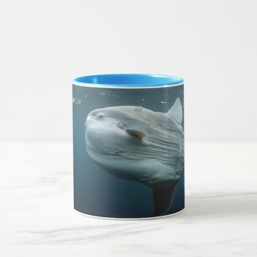 Mola Mola Tasse (Zentrum)