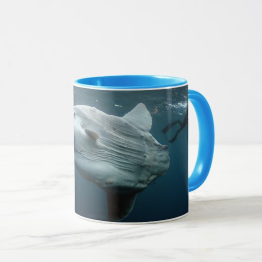 Mola Mola Tasse (VorderseiteRechts)