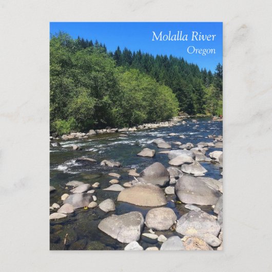 Molalla River, OR Postcard Postkarte (Vorderseite)