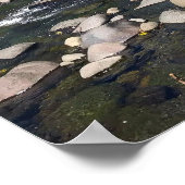 Molalla River, OR Poster (Ecke)