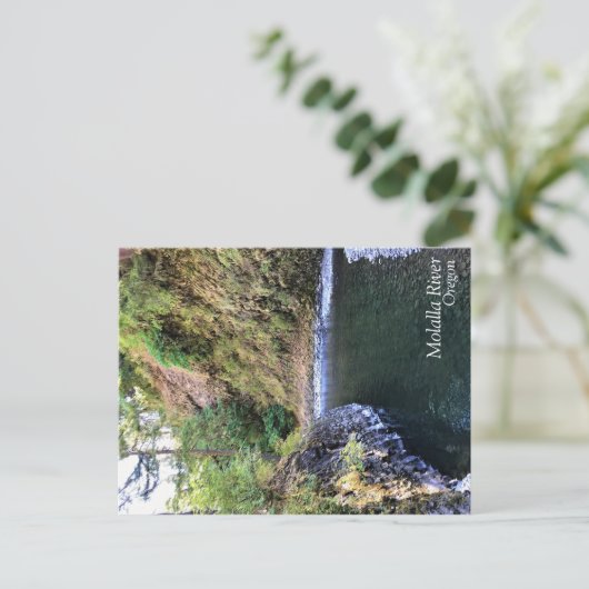 Molalla River, OR Postkarte (Stehend Vorderseite)