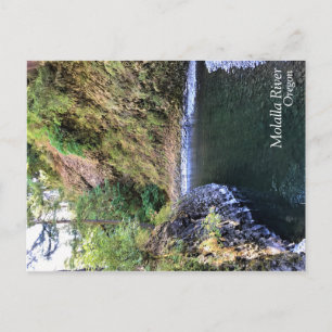 Molalla River, OR Postkarte