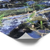Molalla River, Oregon Poster (Ecke)