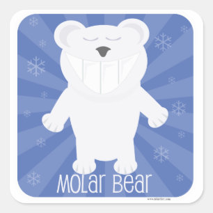 Molar Bear Fun White Animal Cartoon Design Quadratischer Aufkleber