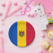 Moldau-Flagge Pappteller (Party)