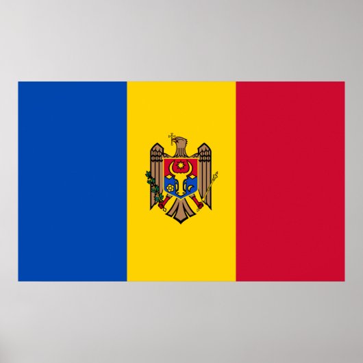 Moldauflagge Poster (Vorne)