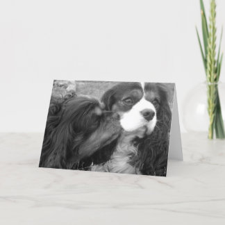 Molder and Fjalar Cavalier King Charles Spaniels Karte