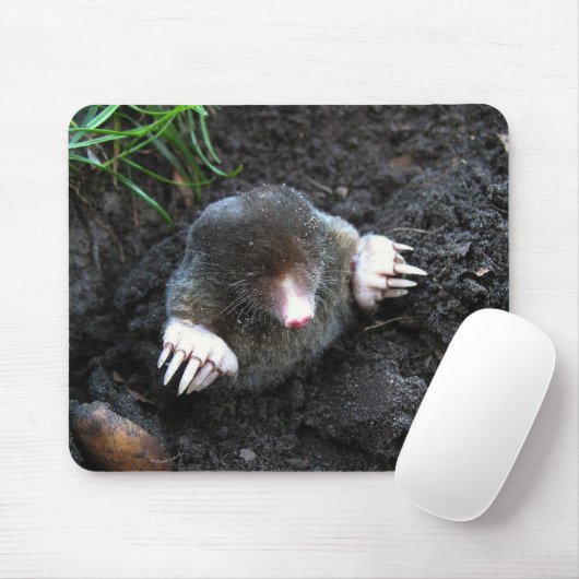 Mole Mousepad (Mit Mouse)