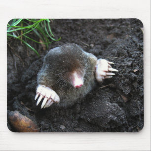 Mole Mousepad
