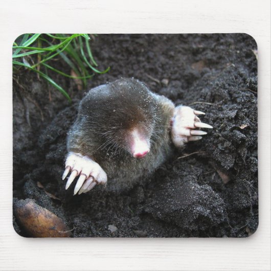 Mole Mousepad (Vorne)