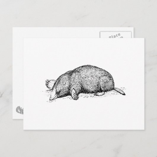Mole Postkarte (Vorne/Hinten)