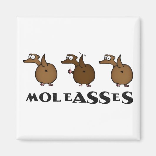 Moleasses Magnet (Vorne)