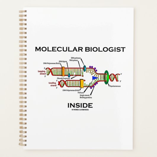 Molekularbiologe in der DNA-Replikation Planer (Vorderseite)