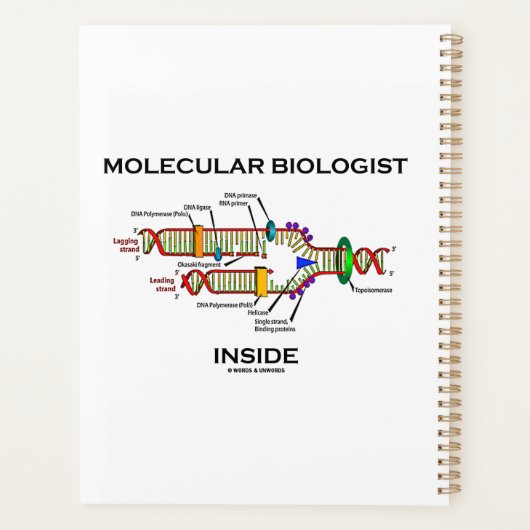 Molekularbiologe in der DNA-Replikation Planer (Rückseite)