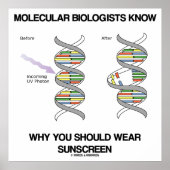 Molekularbiologen wissen, warum man Sonnenschutzmi Poster (Vorne)