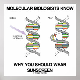 Molekularbiologen wissen, warum man Sonnenschutzmi Poster