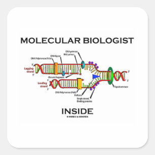 Molekularbiologin Inside (DNA-Replikation) Quadratischer Aufkleber
