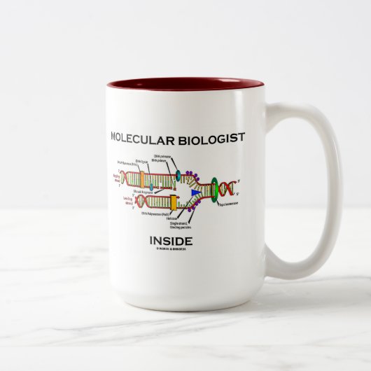 Molekularbiologin Inside (DNA-Replikation) Zweifarbige Tasse (Rechts)