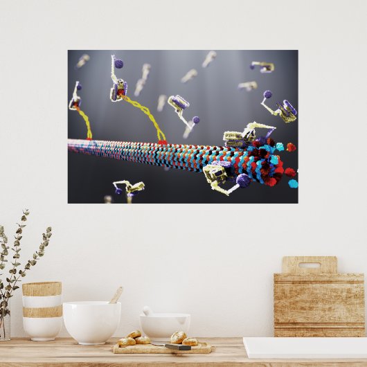 Molekulare Maschinen Poster (Küche)