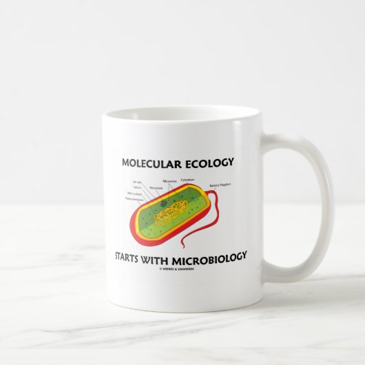 Molekulare Ökologie beginnt mit Mikrobiologie Kaffeetasse (Rechts)