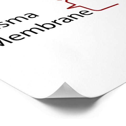 Molekulare Struktur einer primären Zellwand einer Poster (Ecke)