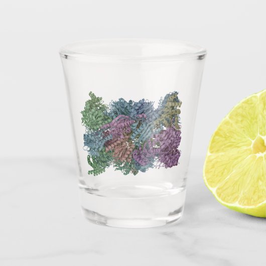 Molekülillustration Schnapsglas (Vorderseite)