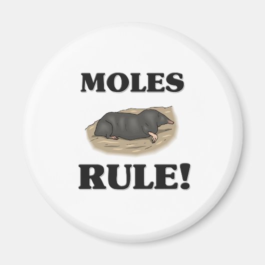 MOLES-Regel! Magnet (Vorne)