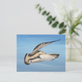 Möller im Flug Postkarte (Stehend Vorderseite)