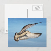 Möller im Flug Postkarte (Vorne/Hinten)
