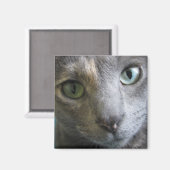 Mollie Magnet (Vorderseite/Rückseite)