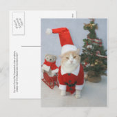 Mollige Sankt-Katze Feiertagspostkarte (Vorne/Hinten)