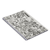 Mollusca Notizblock (Rechte Seite)