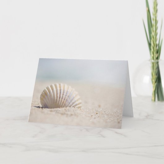 Mollusk Seashell Karte (Vorderseite)