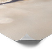 Mollusk Seashell Poster (Ecke)