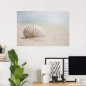 Mollusk Seashell Poster (Heimbüro)