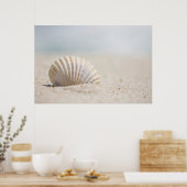 Mollusk Seashell Poster (Küche)