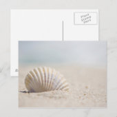 Mollusk Seashell Postkarte (Vorne/Hinten)