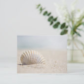 Mollusk Seashell Postkarte (Stehend Vorderseite)