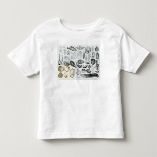 Mollusken Kleinkind T-shirt