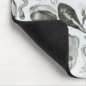 Mollusken Mousepad (Ecke)