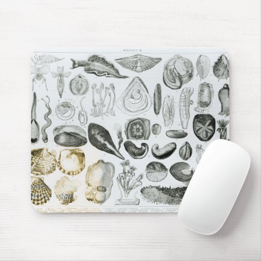 Mollusken Mousepad (Mit Mouse)