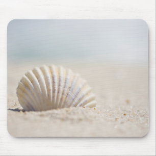 MolluskeSeashell Mousepad