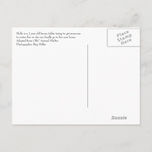 Molly Ankündigungspostkarte (Rückseite)