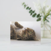 Molly Ankündigungspostkarte (Stehend Vorderseite)