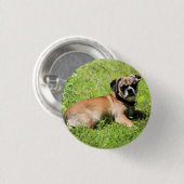 Molly Button (Vorne & Hinten)