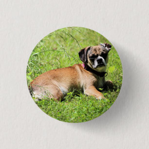 Molly Button