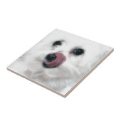 Molly das maltesische fliese (Seite)