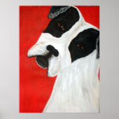 Molly Dog Poster (Vorne)